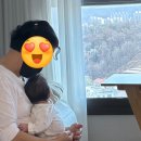 마미편한세상 이미지