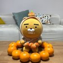 안당농장 네이버블로그