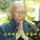 33살 남자와 25살 여자 소개팅후기 이미지