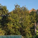 민턴민박 이미지