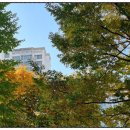 녹번-032 이미지