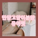 안양고양이분양