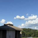 스테이인터뷰 노호 이미지