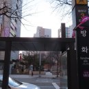 개화산 자락길 | 봄길 따라 걷는 강서둘레길 1코스 개화산 숲길