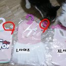 금동살롱 이미지