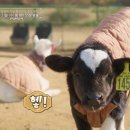 우유농장2 이미지