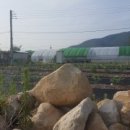 이태영농장 이미지