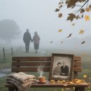 바람이지나간자리 이미지