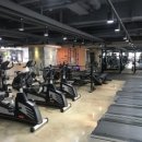 비앤핏 머니투데이