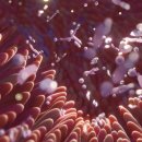 올리브의원 이미지