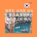 쇠소깍휴양펜션엘마르 | 제주도 가볼 만한 곳 서귀포 쇠소깍 풍경과 휴양펜션 엘마르 2박 후기