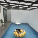 꿈꾸던 하루 이미지