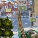 생생청과야채
