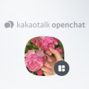쭘네일