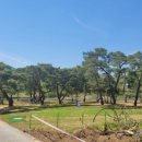 파크골프장 이미지