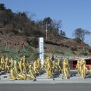 금산인삼쇼핑센터 이미지