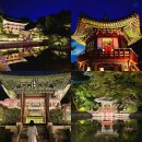 제1금천교 | 2026 창덕궁 달빛기행 야간개장 예매 고궁 서울야경추천