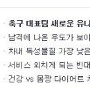 홍천종로약국 이미지