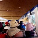 자작나무숲 주차장 이미지