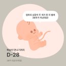 서초대로23길 37-10 | 나의 휴직 일기 (9)