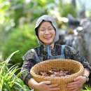 대보농장 이미지