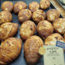 바스타미 | 동탄 중리 대형카페 (내돈내산)