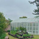 와흘972 | 제주 동쪽 가족여행 숙소 추천: 온실 풀빌리가 있는 &#39;와흘972&#39;