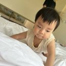 멍쿠실낭 이미지