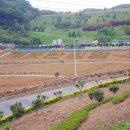 숲속 정원 이미지