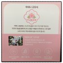 아테나공동체