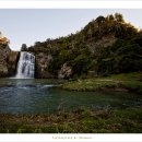 뽀삐뽀삐 이미지