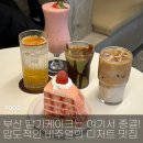남포농장 | [남포] 제로베이스원도 다녀 간 핫플, 디저트 맛집_신창동커피