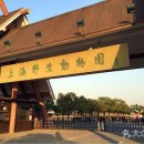 상하이 10대 놀이공원/테마파크/박물관 이미지