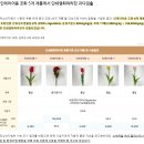 인테리어용 조화 제품 일부에서 환경오염 유발물질이 검출 이미지