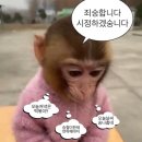 내가가고싶은 현대카클리닉 | 🏝️제주여행 day1 (현대렌트카, 티나케이크, 우동카덴, 블루보틀, 일일시호, 형돈)