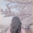 진헤어살롱