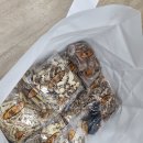 블루베리사슴농장 이미지