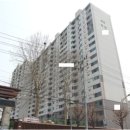 동아목련 이미지