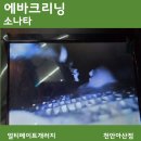 천안아산에바크리닝에어컨히터냄새전문카롱 | 아산 배방 탕정 에바크리닝 소나타 에어컨 냄새 제거, 내시경 고압 세척 후기