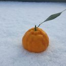 봉이농장 이미지