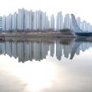 야당5교 이미지