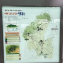 2024 풍기인삼축제 지역축제 즐기기