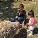 지우목장 이미지