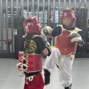 유단자의 품격 태권도장 | 요즘은 시험도 없다는데…아이들은 뭘 기준으로 성장할까요?