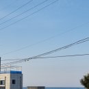 씨엔스타 | 강원도 고성 오션뷰 애견동반 펜션 씨엔스타 후기!