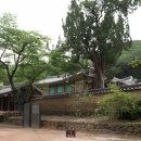 옥산천 이데일리