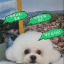 로댕펫살롱
