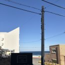 당신의안목 브리에 이미지