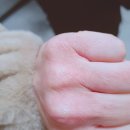 김동건피부과의원 이미지