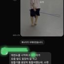 국기 품성 라이온 태권도 줄넘기 네이버블로그
